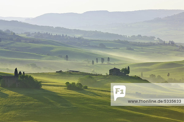 Wiesen und Felder im Morgenlicht  Pienza  Val d'Orcia  Toskana  Italien  Europa  ÖffentlicherGrund