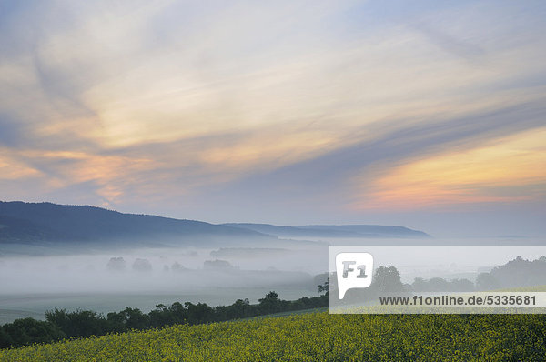 Nebel am Morgen  Landschaft bei Nahwinden  Thüringen  Deutschland  Europa