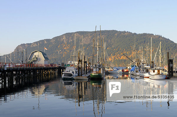 Cowichan Bay Marina  Cowichan Bay Bucht  Vancouver Island  British Columbia  Kanada