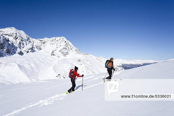 Skitourengeher beim Aufstieg zur hinteren Schöntaufspitze  Sulden im Winter  hinten der Ortler und Zebru  Südtirol  Italien  Europa