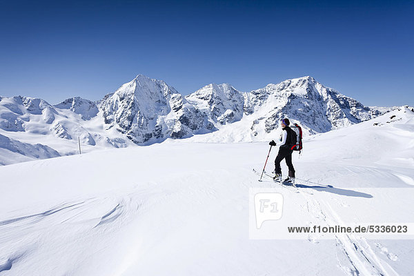Skitourengeher beim Aufstieg zur hinteren Schöntaufspitze  Sulden im Winter  hinten die Königsspitze  der Ortler und Zebru  Südtirol  Italien  Europa