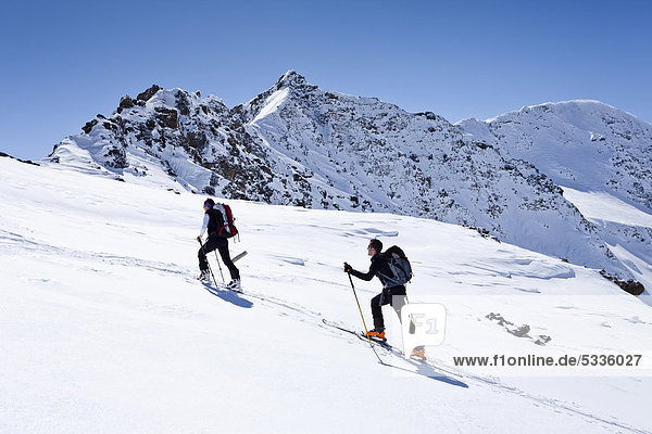 Skitourengeher beim Aufstieg zum Madritschjoch  Sulden im Winter  hinten die Madritschspitze  Südtirol  Italien  Europa