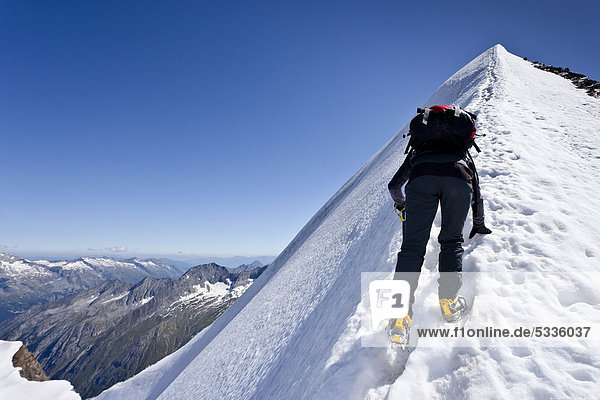 Bergsteiger beim Aufstieg zum Hochfeiler  Pfitschertal  hinten die Zillertaler Berge  Südtirol  Italien  Europa
