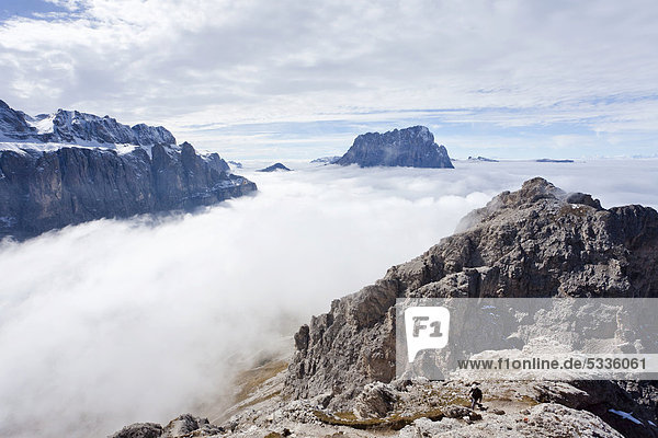 Aussicht beim Aufstieg zur Gran Cir über dem Klettersteig oberhalb vom Grödnerjoch  hinten das Grödnertal und der Langkofel  Dolomiten  Südtirol  Italien  Europa