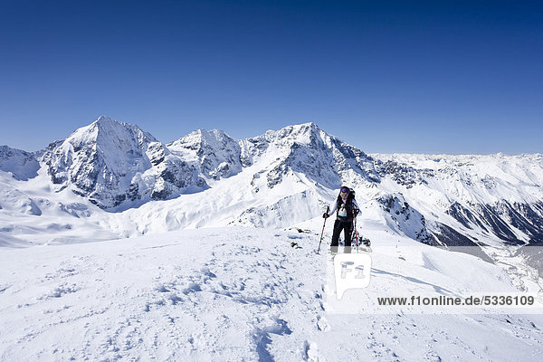 Ski tourer ascending Hintere Schoentaufspitze  Solda  in winter  Ortler and Koenigsspitze or Gran Zebru mountains at back  South Tyrol  Italy  Europe
