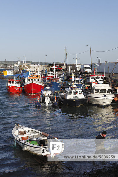 Boote im Fischerhafen  Skerries  County Fingal  Republik Irland  Europa