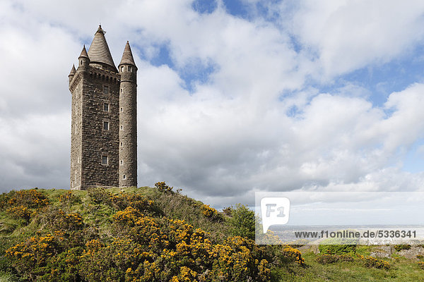 Scrabo Tower  Newtownards  County Down  Nordirland  Irland  Vereinigtes Königreich  Europa  ÖffentlicherGrund