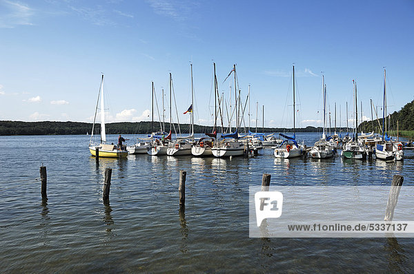 Sailing boats in a small marina on Lake Ratzeburg  Roemnitz  Schleswig-Holstein  Germany  Europe