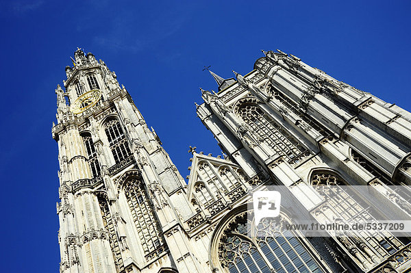 Turm der Kathedrale  gotische Kirche in der Innenstadt  Antwerpen oder Anvers  Flandern  Belgien  Benelux  Europa
