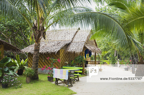 Bungalow between palm trees  Banana Bungalow Hotel  Ao Tha Len  Krabi  Thailand  Asia