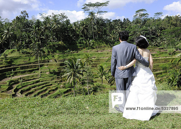 Korean wedding couple  arm in arm in front of a rice terrace in Ubud  Bali  Indonesia  Southeast Asia