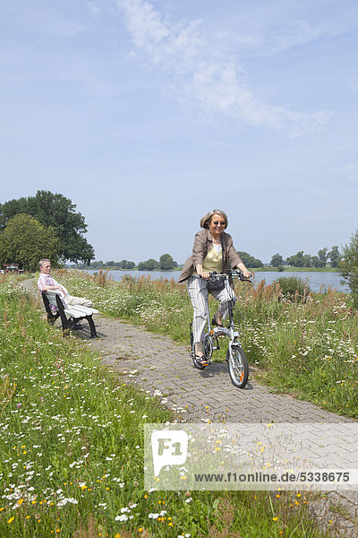 Cyclist on the Elbe dike at Wussegel near Hitzacker  Naturpark Elbufer-Drawehn nature reserve  Lower Saxony  Germany
