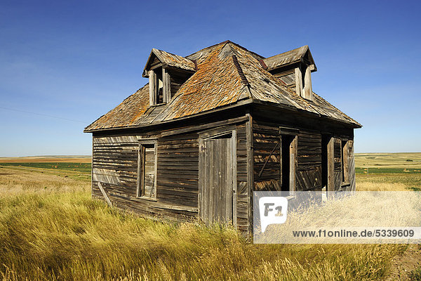 Zerfallenes Haus in der Prärie  Saskatchewan  Kanada