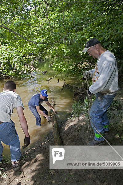 Volunteers clear a logjam from the Rouge River  as part of the Rouge Rescue  an annual volunteer cleanup of the Rouge and surrounding wetlands  Southfield  Michigan  USA