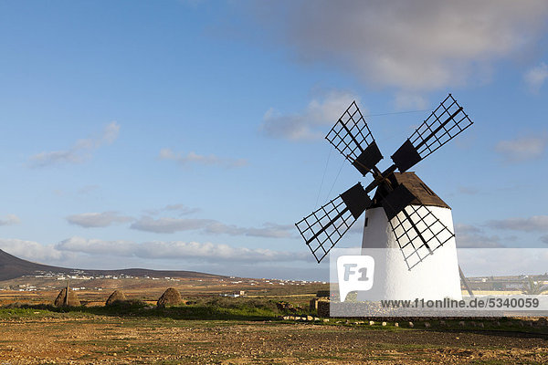 Typische Windmühle auf Fuerteventura  Kanaren  Spanien  Europa