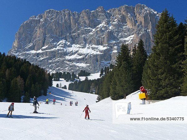 Italy  Trentino Alto Adige  Val Gardena  Dolomite Alps  Sella Ronda