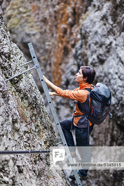 Female mountaineer climbing Gantkofel mountain  also known as Mendelkamm mountain  Eppan  province of Bolzano-Bozen  Italy  Europe