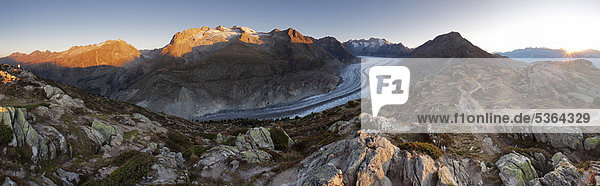 Panorama beleuchtet Europa Berg Morgen Beleuchtung Licht Geißhorn Schweiz Aletschgletscher Kanton Wallis