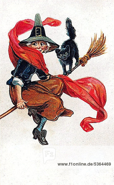 Hexe sitzt auf einem Besen  schwarze Katze  Halloween  Illustration
