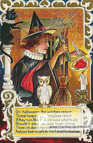 Witch mixing a potion  white owl  Halloween  illustration