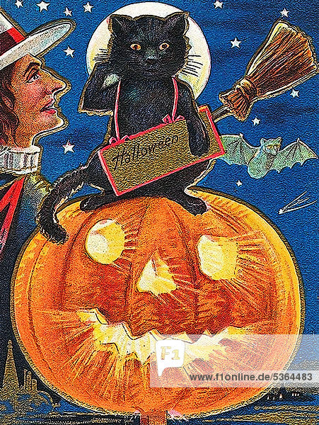 Witch and black cat sitting on a carved pumpkin or Jack-o-lantern  Halloween  illustration