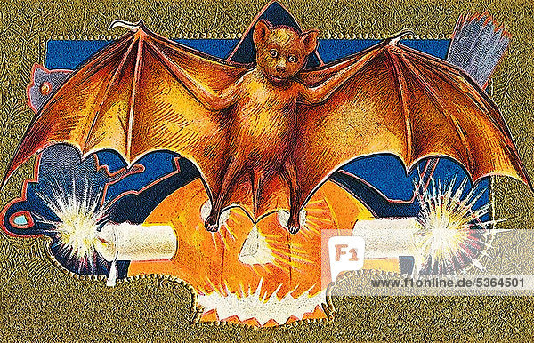 Bat  carved pumpkin or Jack-o-lantern  Halloween  illustration