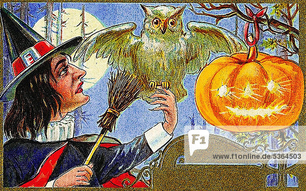 Kürbisgesicht  weiße Eule  Hexe  Halloween  Illustration