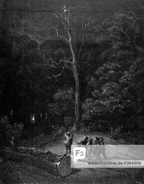 Der kleine Däumling  im Wald ausgesetzte Kinder  Nacht  Illustration aus Perraults Märchen  von Charles Perrault  illustriert von Gustave Dore