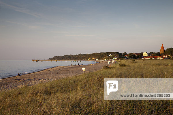 Coast in the evening light  Baltic resort Rerik  Bay of Mecklenburg  Baltic Sea  Mecklenburg-Western Pomerania  Germany  Europe