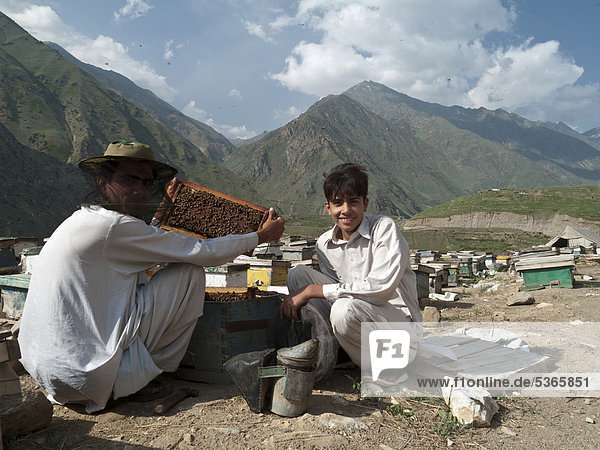 Einheimische produzieren auf traditionelle Weise Honig  in der Gegend südlich von Naran  Khyber Pakhtunkhwa Provinz  Pakistan  Südasien