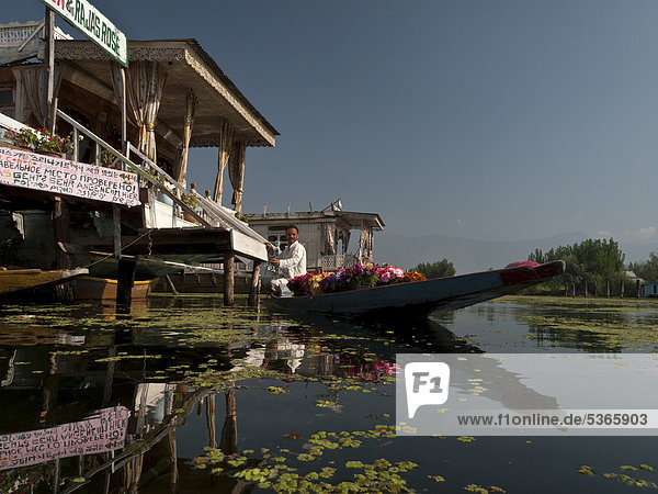 Flowers are sold from a Shikara  traditional boat on Dal Lake  Srinagar  Jammu and Kashmir  India  Asia