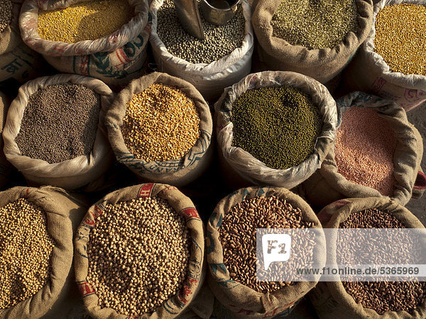 Verschiedene Sorten von Dal oder Dhal  Hülsenfrüchte  werden auf dem Gewürzgroßmarkt in Old Delhi verkauft  Indien  Asien