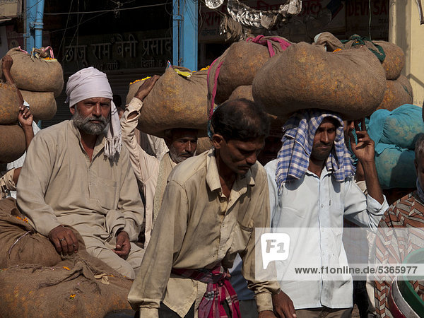 Big bags of flowers are transported the traditional way at the flower wholesale market in Old Delhi  Delhi  India  Asia