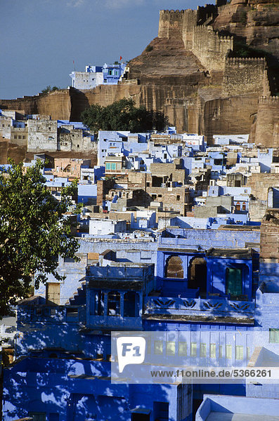 Großstadt blau Festung Asien Indien Jodhpur Rajasthan