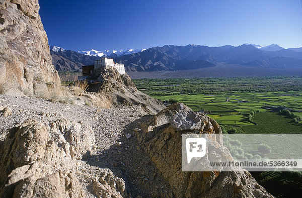 Thiksey Gompa Kloster mit Blick über das üppig bewachsene Industal  Thiksey  Jammu und Kaschmir  Indien  Asien