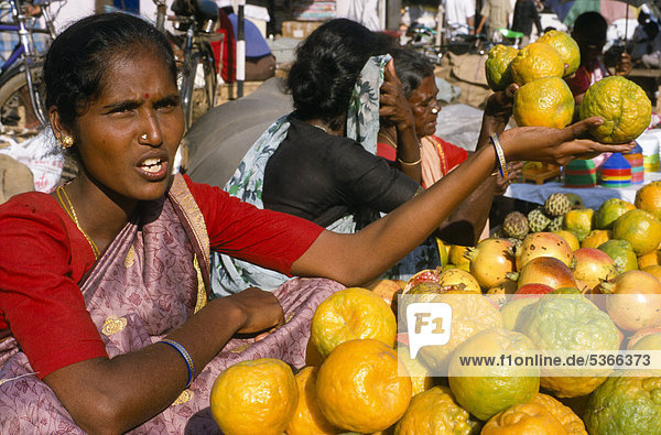Frauen verkaufen Orangen auf den Straßen von Mysore  Karnataka  Indien  Asien