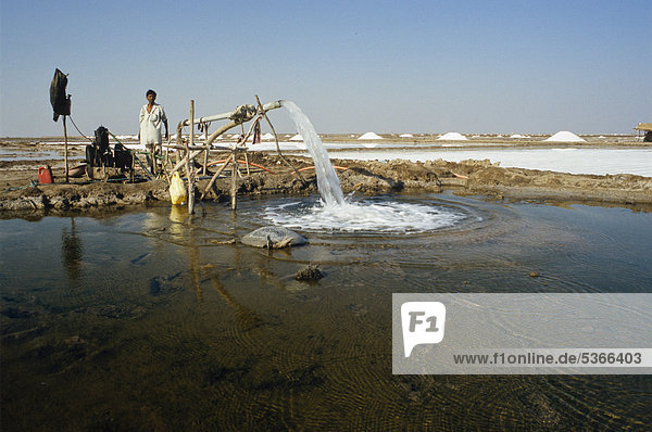 Salzgewinnung mit antiquierten Geräten  Malya  Gujarat  Indien  Asien
