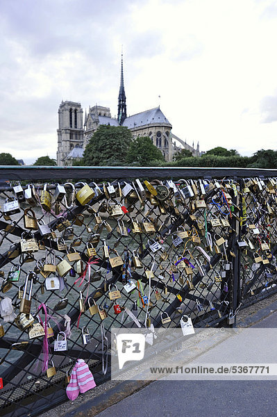 Schlösser der Liebe am Brückengeländer der Brücke Pont de L'Archeveche  dahinter Kathedrale Notre-Dame de Paris  Ile de la CitÈ  Paris  Frankreich  Europa  ÖffentlicherGrund