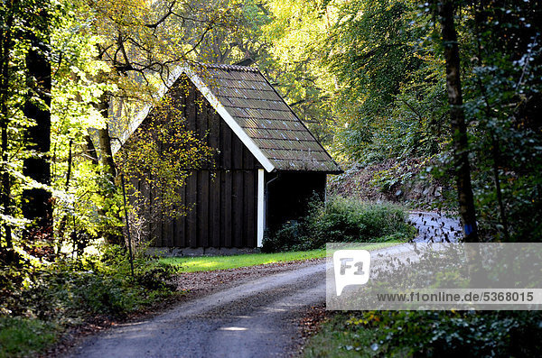 Eine Hütte und eine kleine Straße im Wald  Snogeholm  SkÂne län Provinz  Schweden  Europa