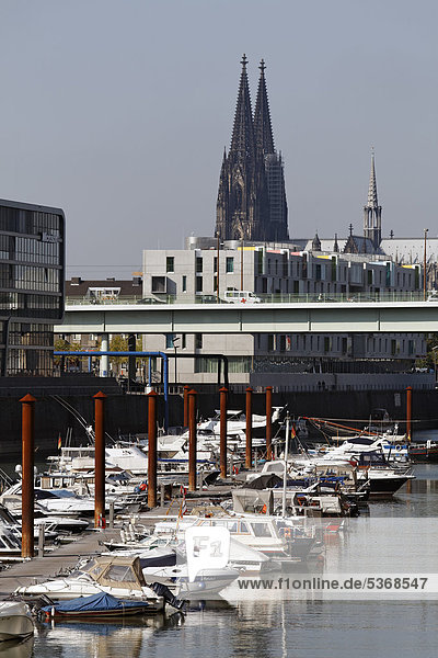 Yachthafen mit Blick auf Kölner Dom  Rheinauhafen  Köln  Nordrhein-Westfalen  Deutschland  Europa