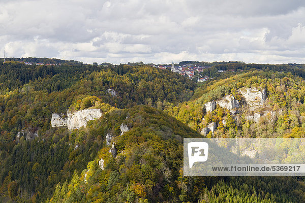Blick nach Irndorf  oberes Donautal  Landkreis Sigmaringen  Baden-Württemberg  Deutschland  Europa