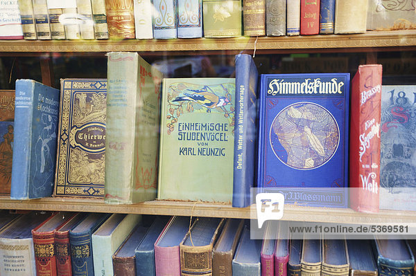 Bücherregal  Buchladen in der Altstadt von Wien  Österreich  Europa