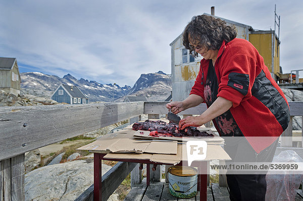 Inuit-Frau zerteilt eine Robbe  Inuit-Siedlung Tiniteqilaaq  Sermilik-Fjord  Ostgrönland  Grönland