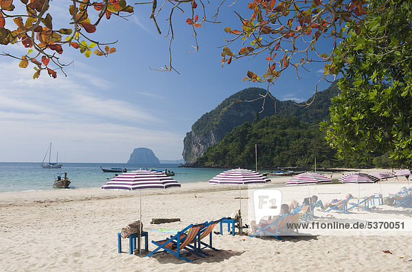 Sun loungers and parasols on the sandy beach  Farang Beach  Ko Muk or Ko Mook island  Thailand  Southeast Asia