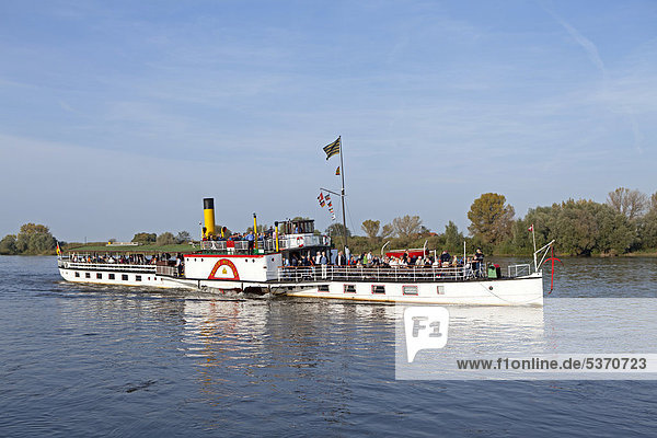 Kaiser Wilhelm paddle steamer  River Elbe  Lower Saxony  Germany  Europe