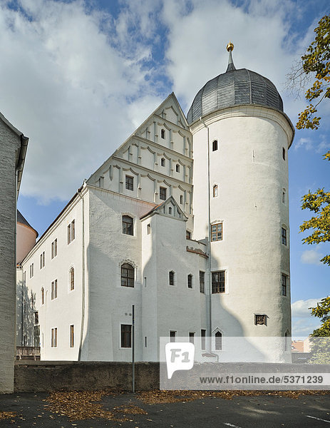 Schloss Wurzen  Sachsen  Deutschland  Europa