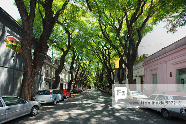 Straße in Palermo Viejo  Buenos Aires  Argentinien