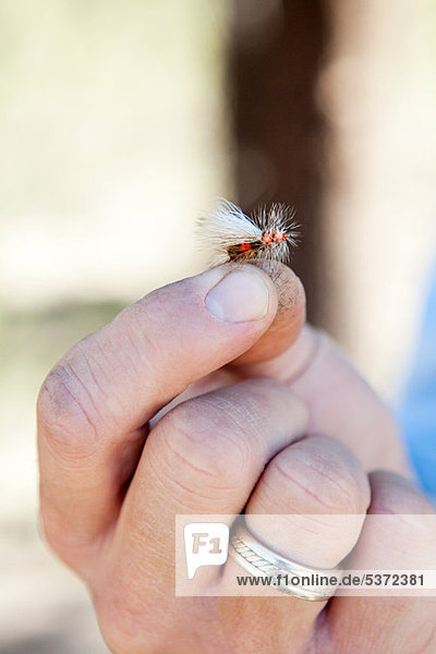 Man holding imitation fly for fishing  Colorado  USA