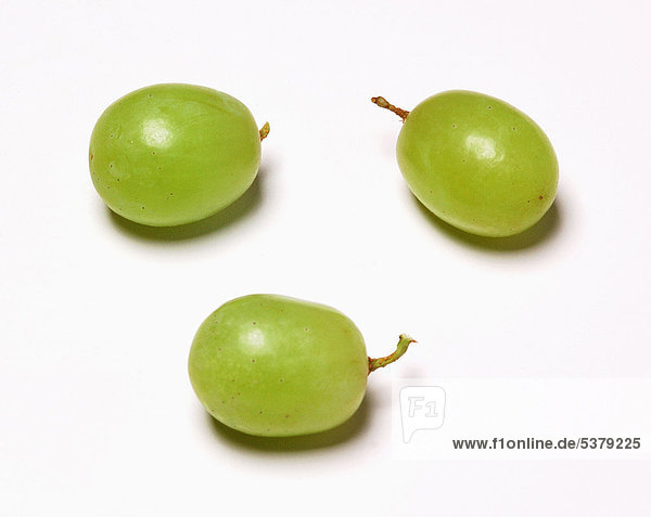 Grüne Trauben auf weißem Grund