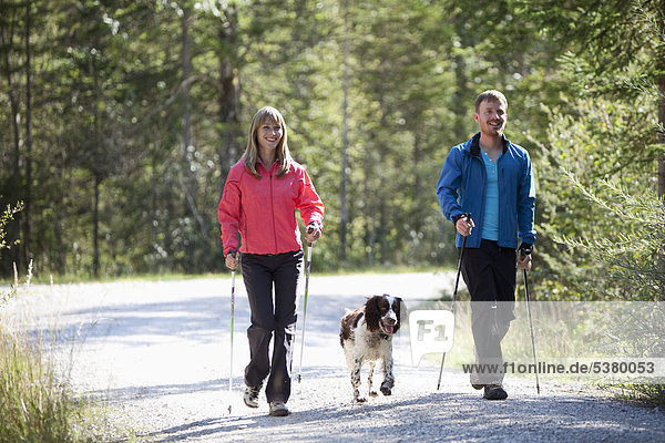 Deutschland  Bayern  Paar beim Nordic Walking mit englischem Springerspaniel